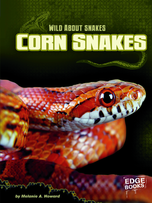 Title details for Corn Snakes by Joe Maierhauser - Available
